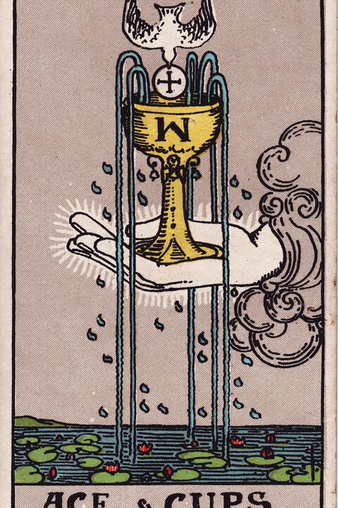 圣杯一 · Ace of Cups 牌面