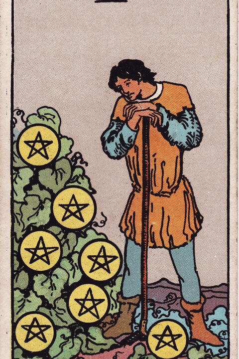 星币七 · Seven of Pentacles 牌面